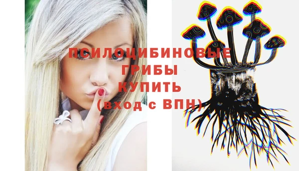 тгк Абинск