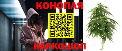 прущие крисы Канаш