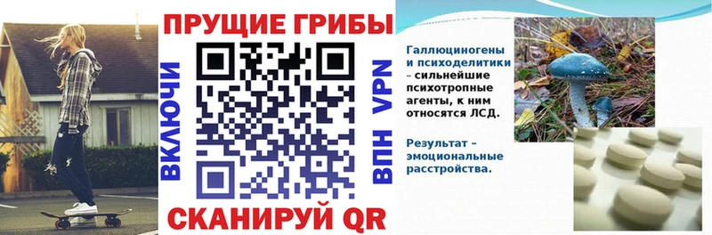 Псилоцибиновые грибы мухоморы  мега ссылка  Краснодар  где продают  