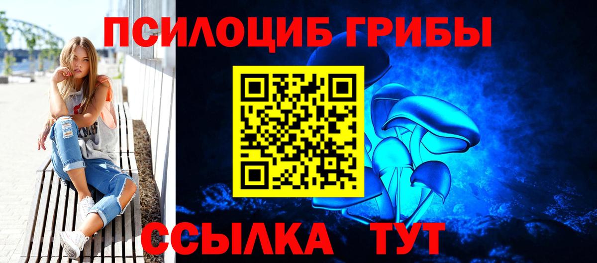 Краснодар  Галлюциногенные грибы Cubensis  Вход с VPN 