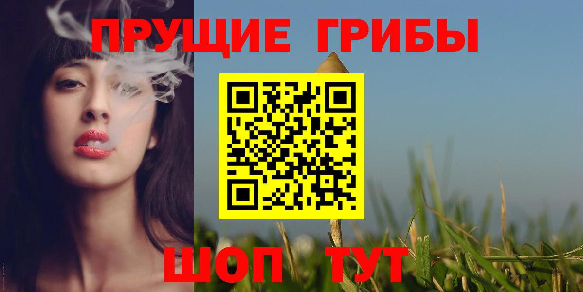 Псилоцибиновые грибы Psilocybe Краснодар